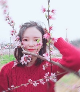 小桌子的第二张照片--会同残疾人相亲网